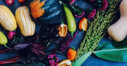 ella-olsson-1094090-unsplash